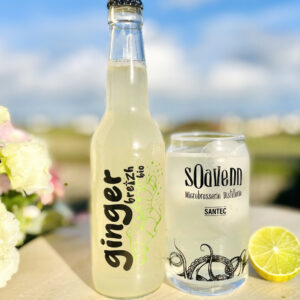 SOAVENN Ginger Breizh Bio