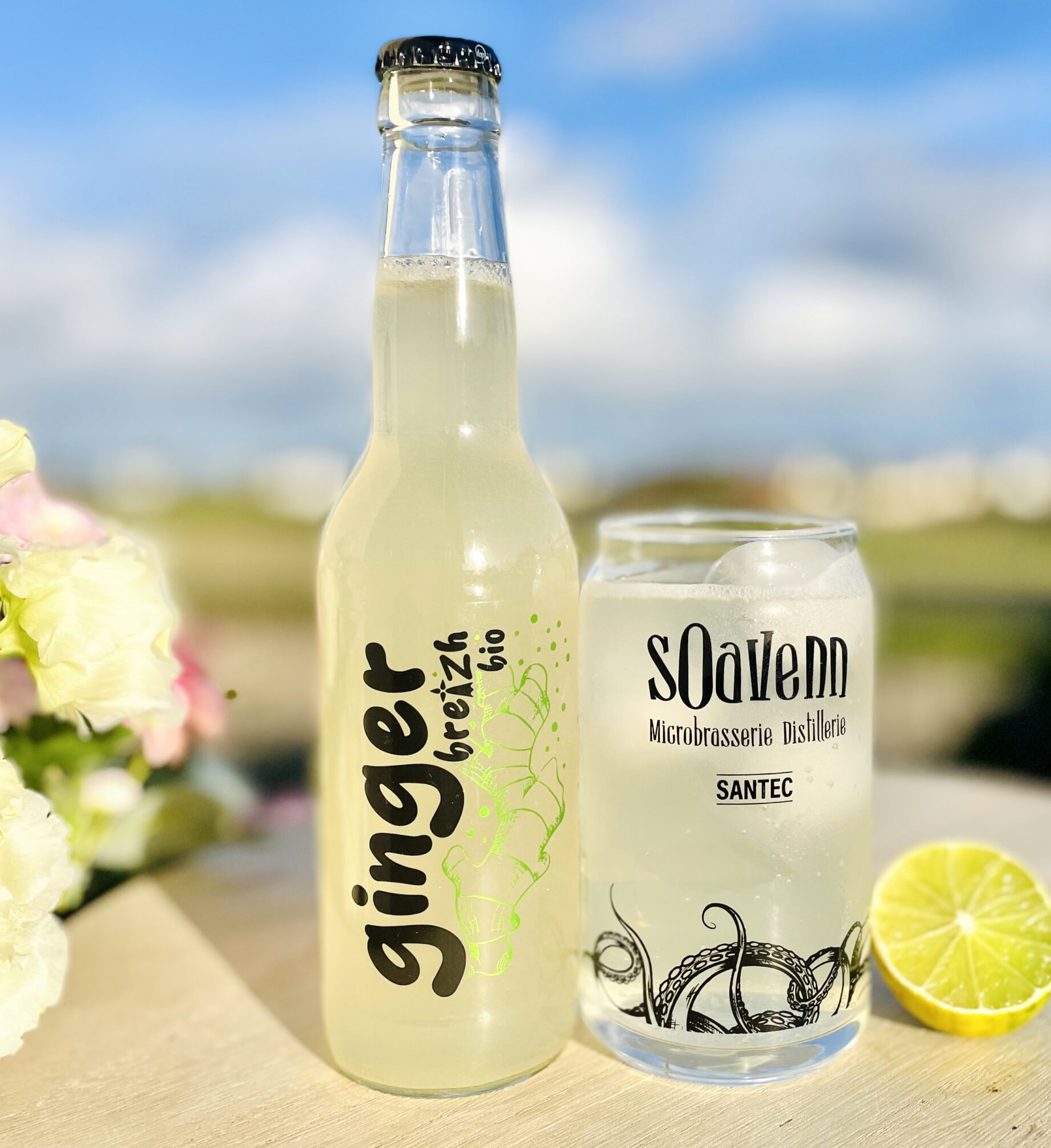 SOAVENN Ginger Breizh Bio
